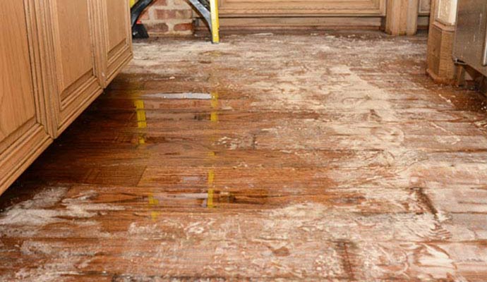 Appliance leak cleanup service