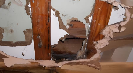 water damaged plywood