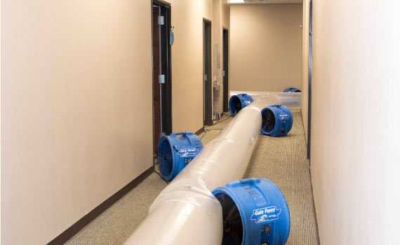 structure drying in the hallway