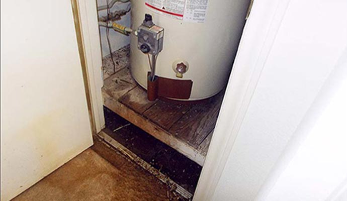 Professional appliance leak cleanup service